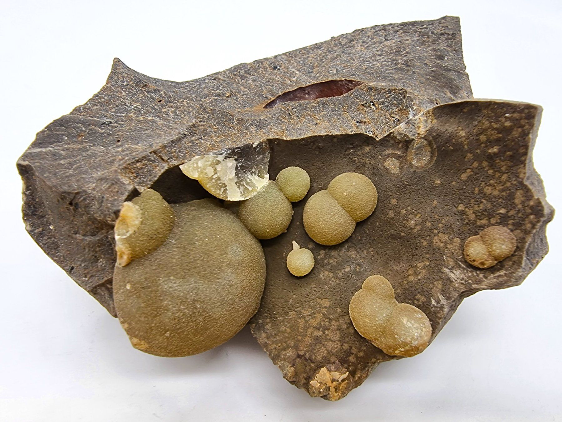 Mineralien & Heilsteine: Calcite on basalt , Viterbo Province, Italy – Gebraucht aus Figino von minshop