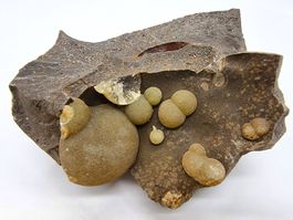 Calcite on basalt , Viterbo Province, Italy
