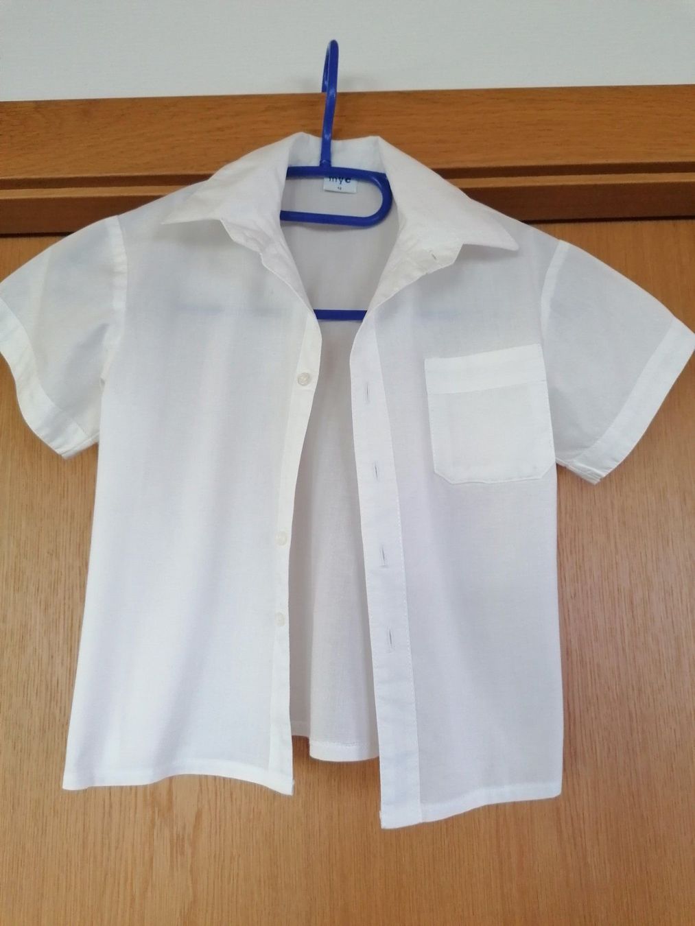 Camicie, Top & T-shirt: Hemd Gr. 98 – Nuovo (secondo la descrizione) da Appenzell venduto da vario414