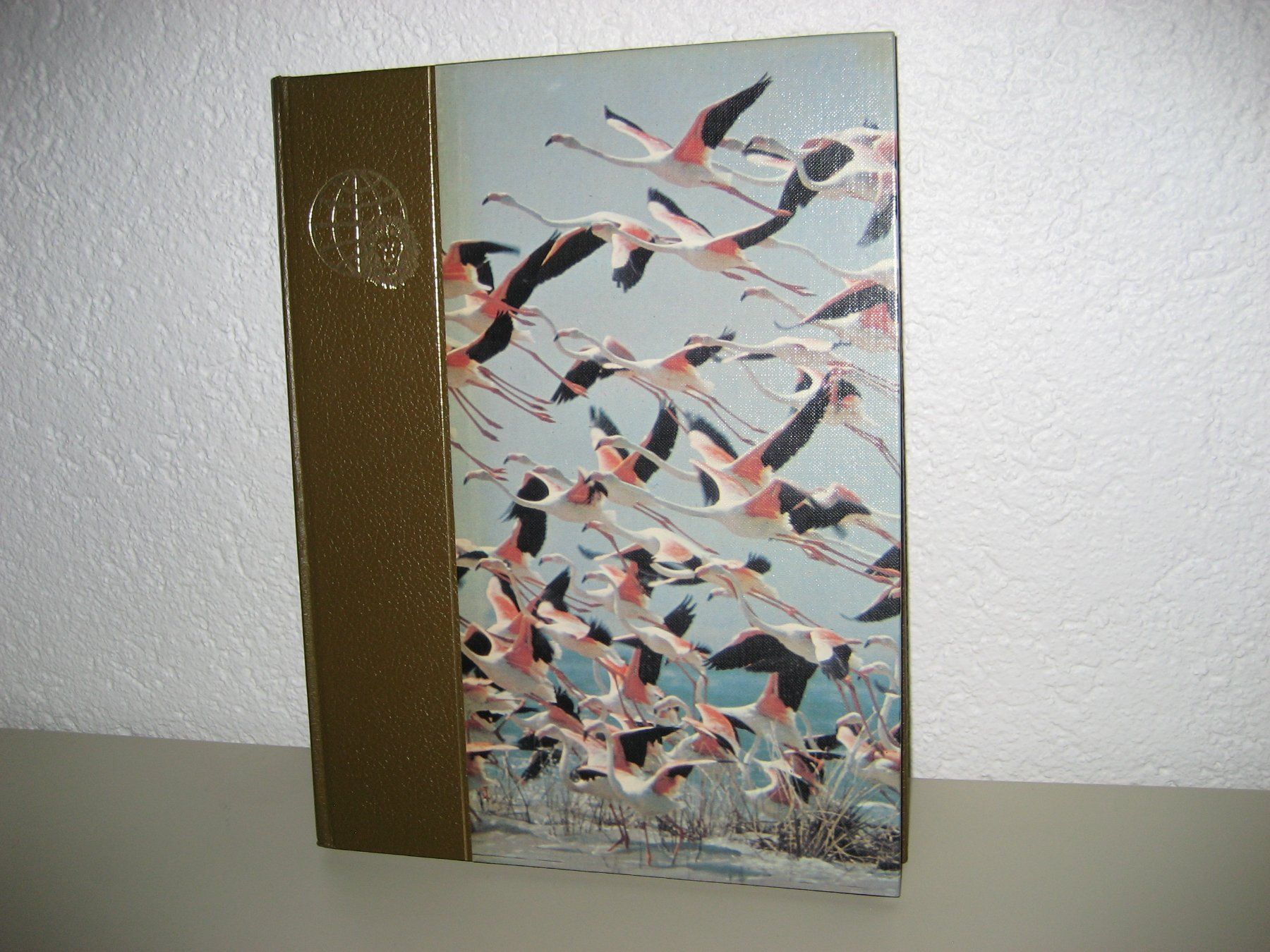 Libri: Collection "Le Royaume des Animaux"  📚 – Nuovo (secondo la descrizione) da Fontenais venduto da Aube-sauvage.2 1