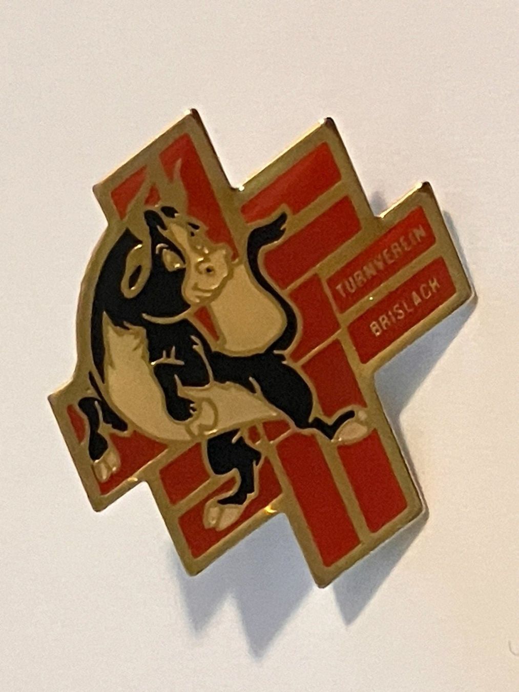 Placchette & Badge: 1 Pin Turnverein Brislach – Usato da Basel venduto da djwwpp