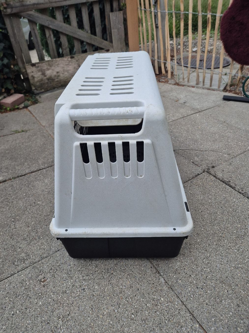 Cages, transport & sécurité: Hundebox – D'occasion à Schaffhausen par Painter62 1