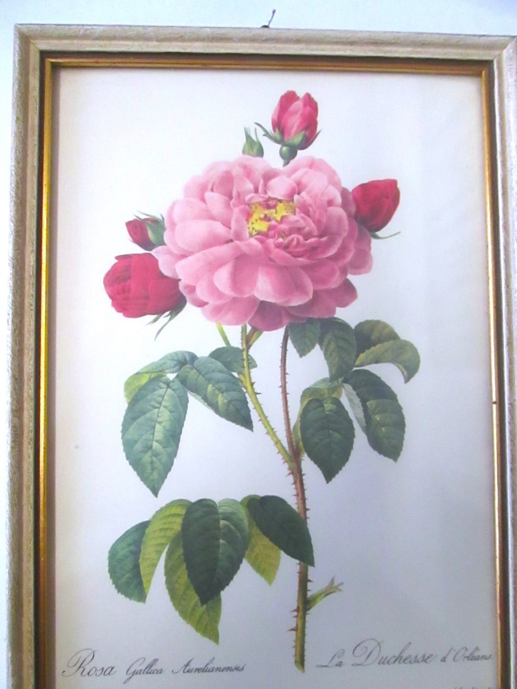 Gemälde: 4 Vintage-Bild (Papier) – Gebraucht aus Sementina von babucia 2