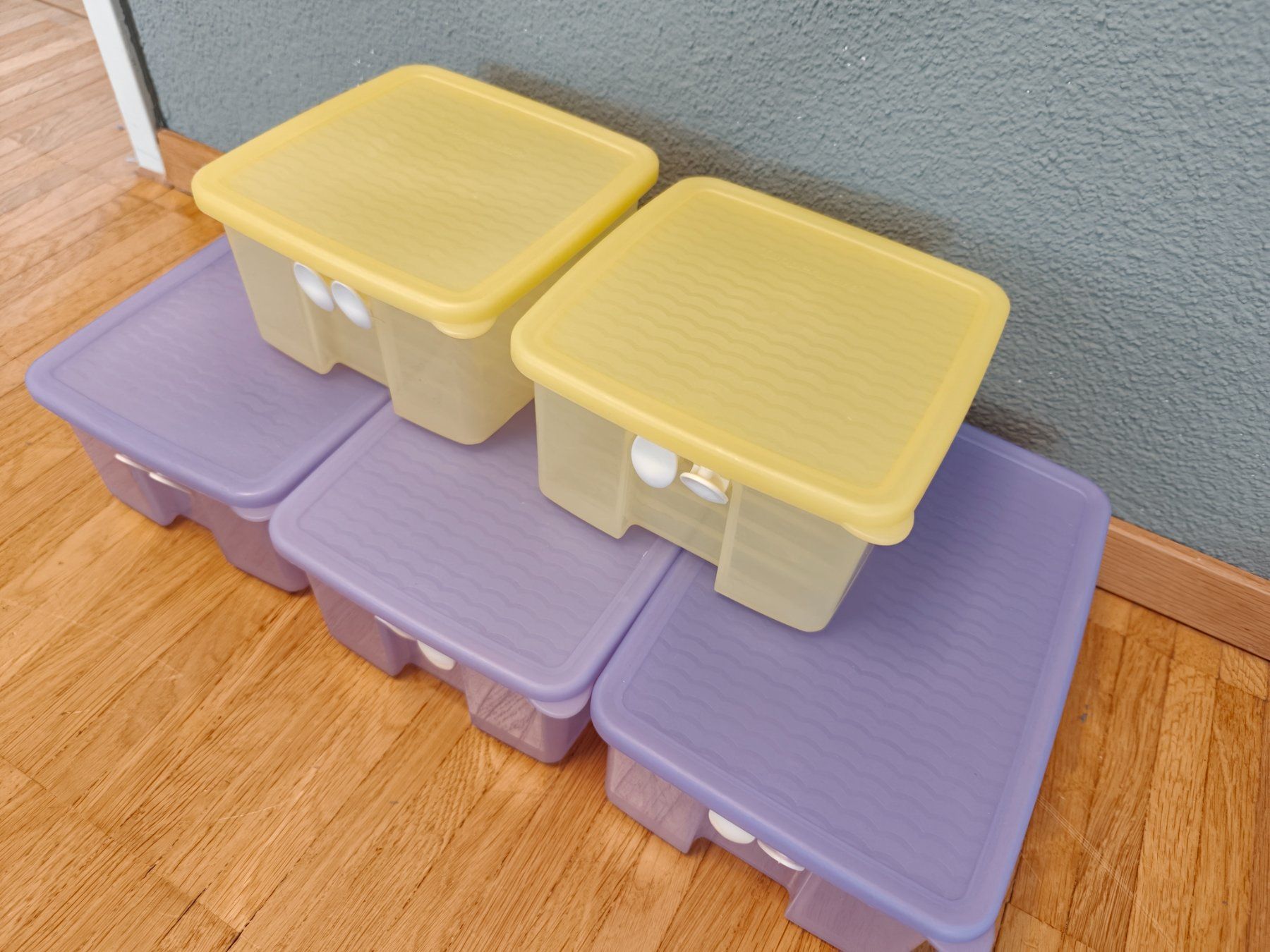 Tupperware Contenitori & Simili: 5 x Tupperware Prima Klima Boxen – Usato da Luzern venduto da schuhparadies159 2