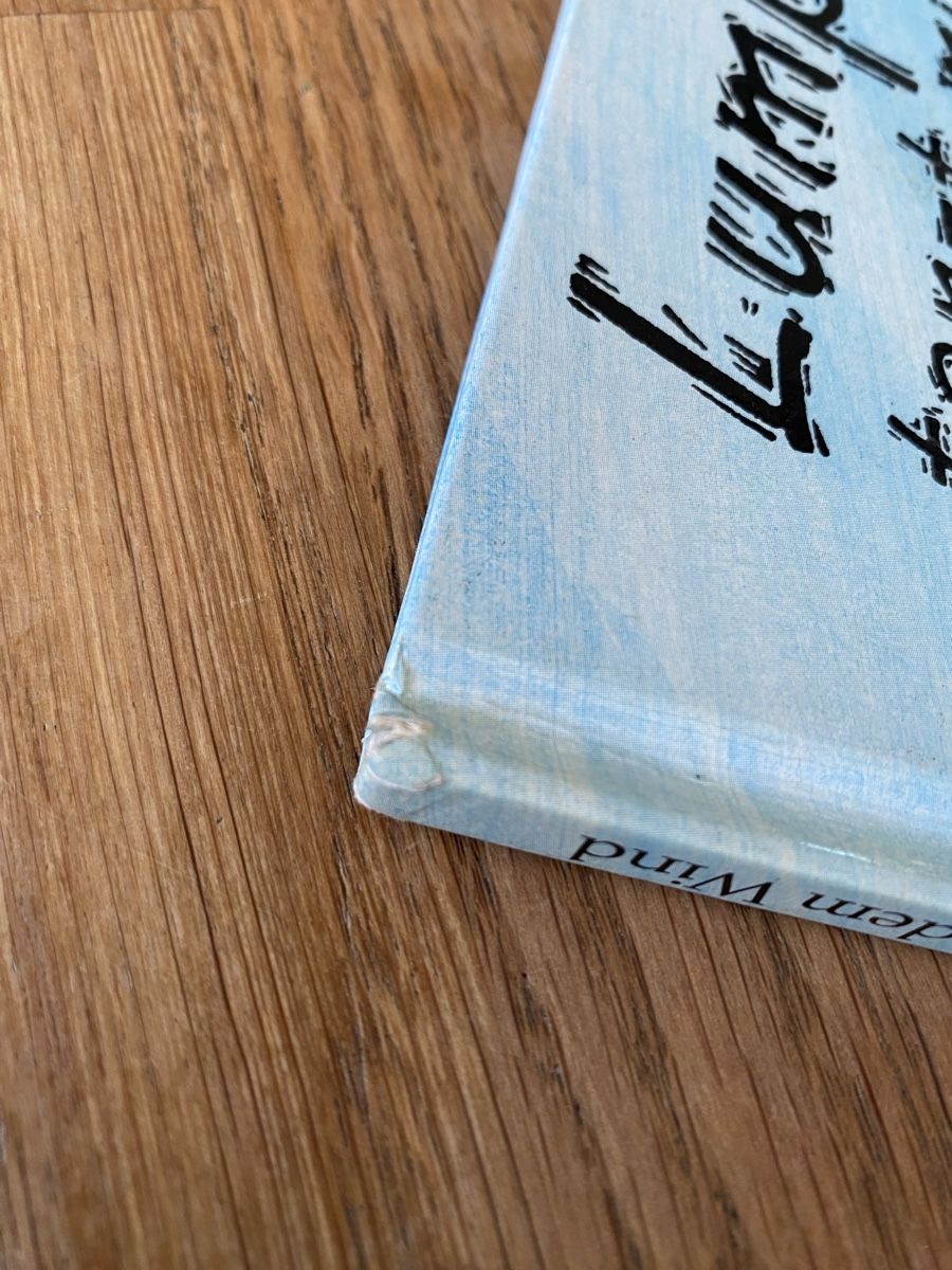 Libri: Lumpenhans tanzt mit dem Wind – Usato da Rebstein venduto da M.el 6