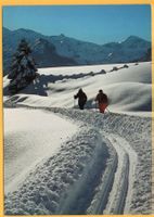 ZWEISIMMEN ST. STEPHAN LENK Skiwanderung
