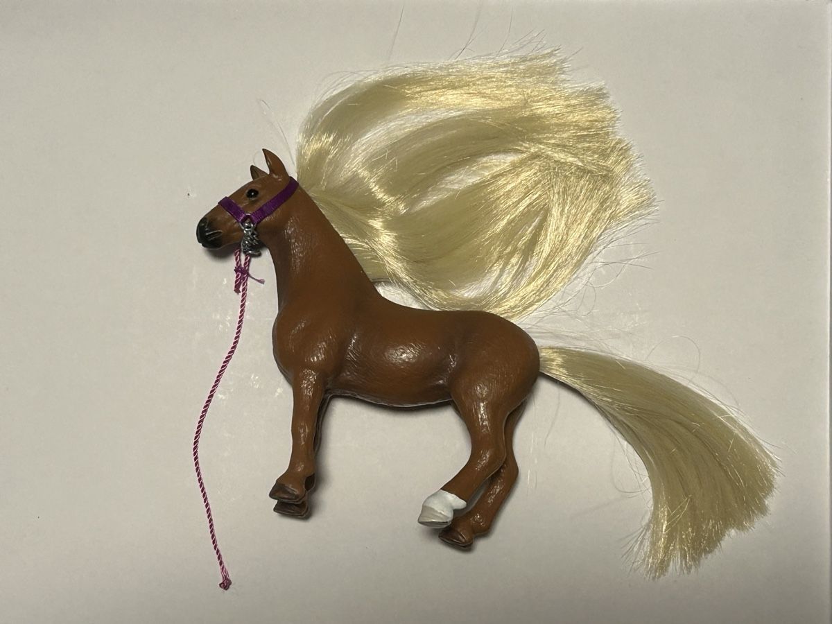Schleich Jouets: Schleich Beauty Salon – D'occasion à Winterthur par DoRi00 6