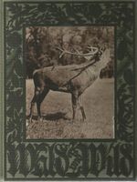 Wald und Wild von Paul Vetterli 1928