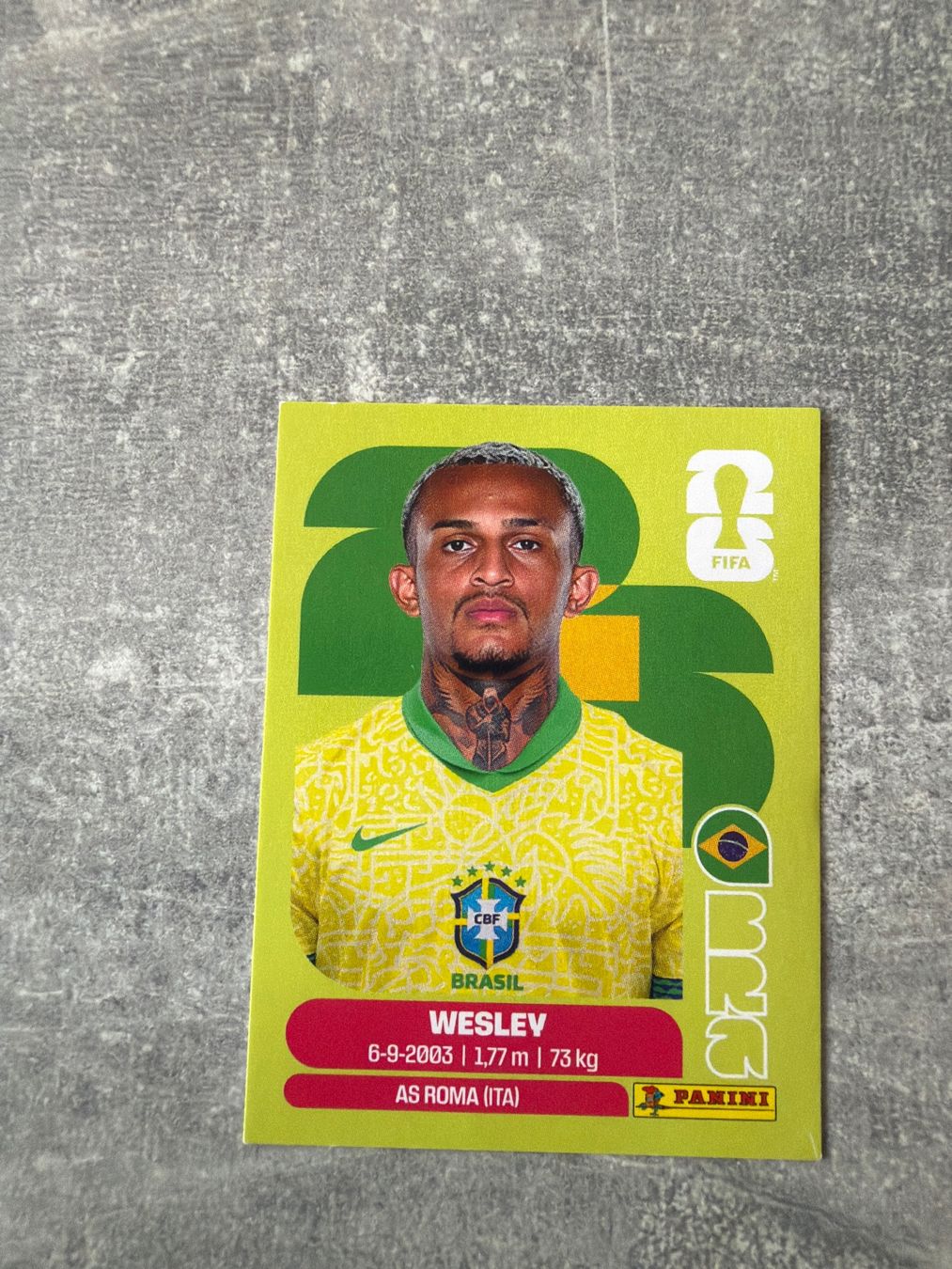 Panini Carte collezionabili: Panini Wesley BRA8 – Usato da Pfeffingen venduto da Fantasy1971