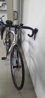 Trek Rennvelo Domane 4.0 Grösse L Carbon