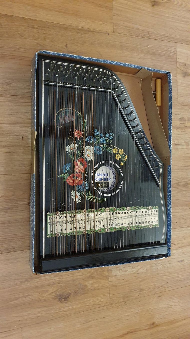 Strumenti musicali: Konzert Zither – Usato da Dietikon venduto da Testodo55 3