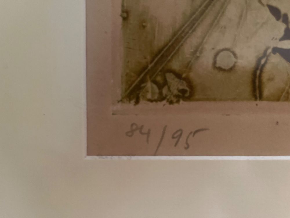 Kaiko Moti, original Litho 5