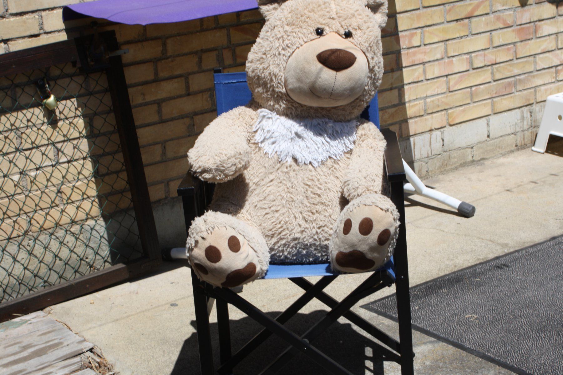 Spielzeuge: GROSSER TEDDYBÄR PLÜSCHBÄR – Gebraucht aus Wauwil von Pneuedy 4