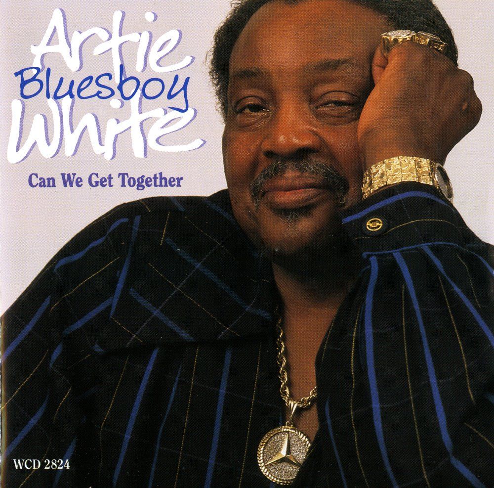 CD: Blues CD: Artie "Bluesboy" White "Can we get together" – Usato da Hochfelden venduto da mue_lhm9