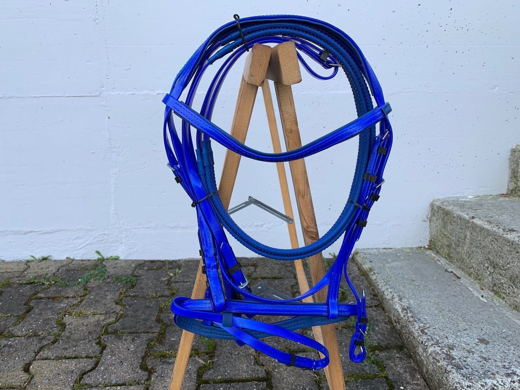 Selle & Accessori: schöner blauer Reitzaum – Usato da Feldbach venduto da Fea1