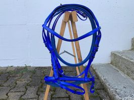 schöner blauer Reitzaum