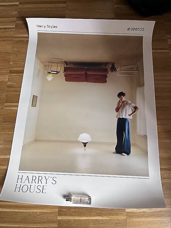Foto & Immagini: 4 Harry Styles Poster – Usato da Zürich venduto da lia_szs8 3