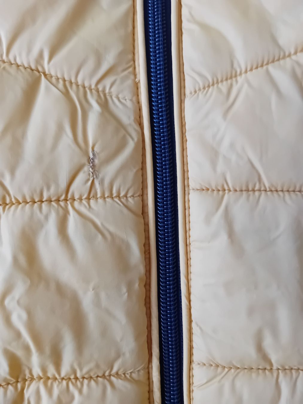 C&A Giacche & Cappotti: gelbe, leichte Steppjacke, Größe 152 cm – Usato da Romanshorn venduto da milenva 1