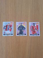 Panini Extra Sticker - Erling Haaland Silber + 2x Classic
