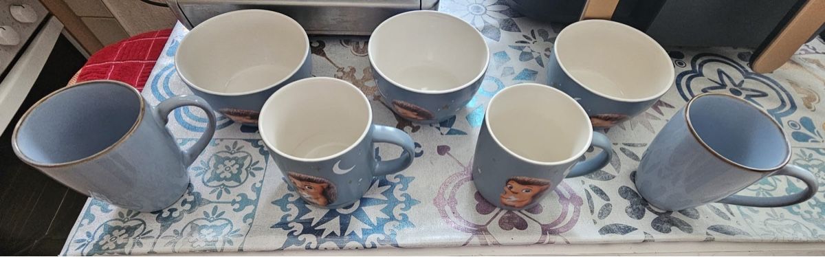 Coop Set di piatti: Service de table à motif Hérisson – Usato da Henniez venduto da jcf_6rzc 1