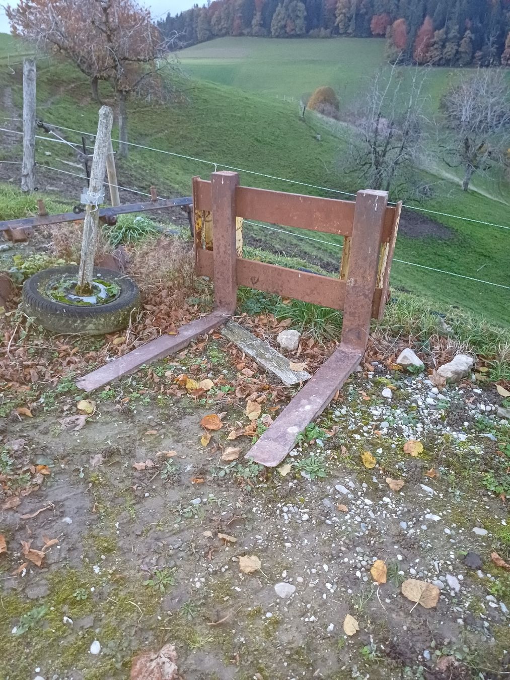 Trattori: Palettgabel – Usato da Schmidigen-Mühlew venduto da lanz84 2