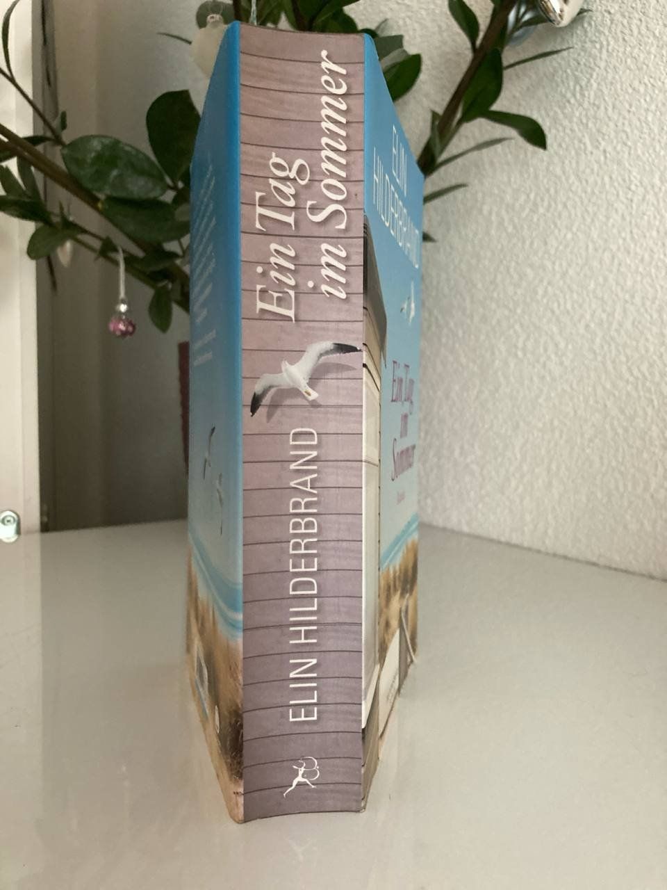 Bücher: Ein Tag im Sommer: Roman – Gebraucht aus Frauenfeld von SCHATZtruhe369 2