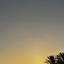 Profile image of lele_7ll