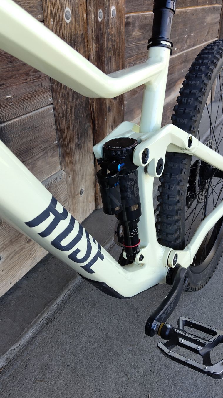 Rose Biciclette: Rose Root Miller 2, Size M – Usato da Laupen BE venduto da Accer 5