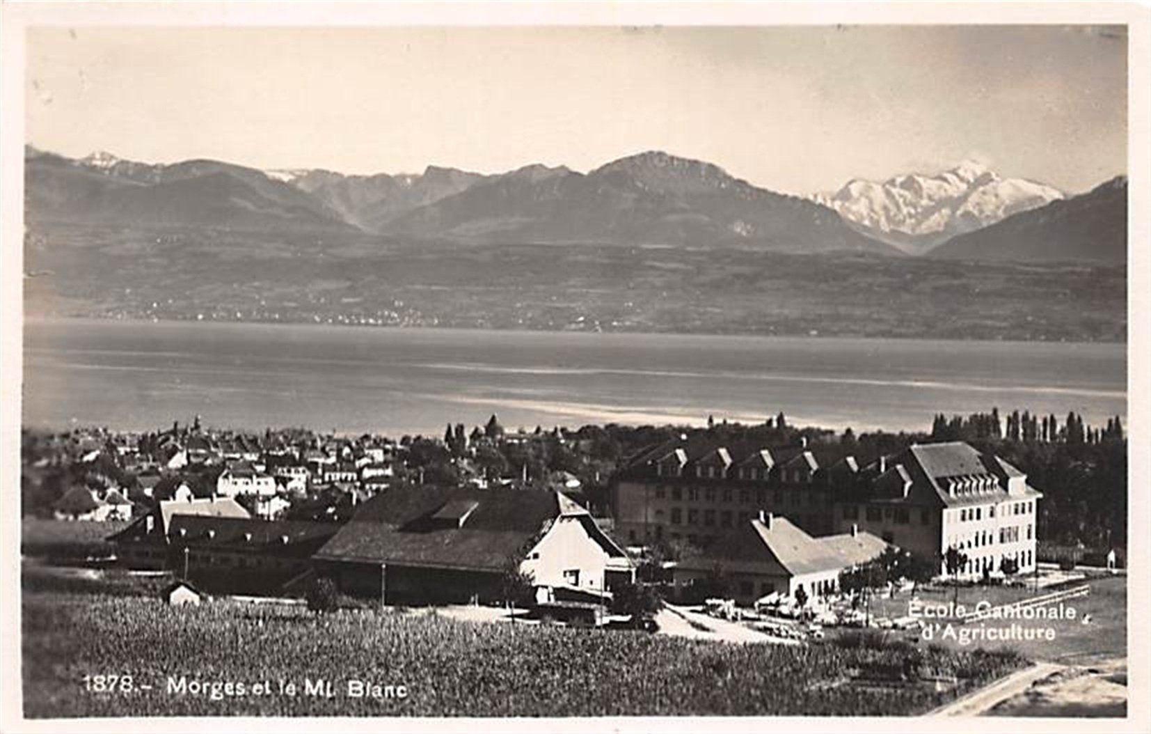 Ansichtskarten: Morges et le Mt. Blanc – Gebraucht aus Ottikon b.Kemptth. von Neptun1974