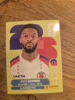 Panini Sticker 2026 HAI 16