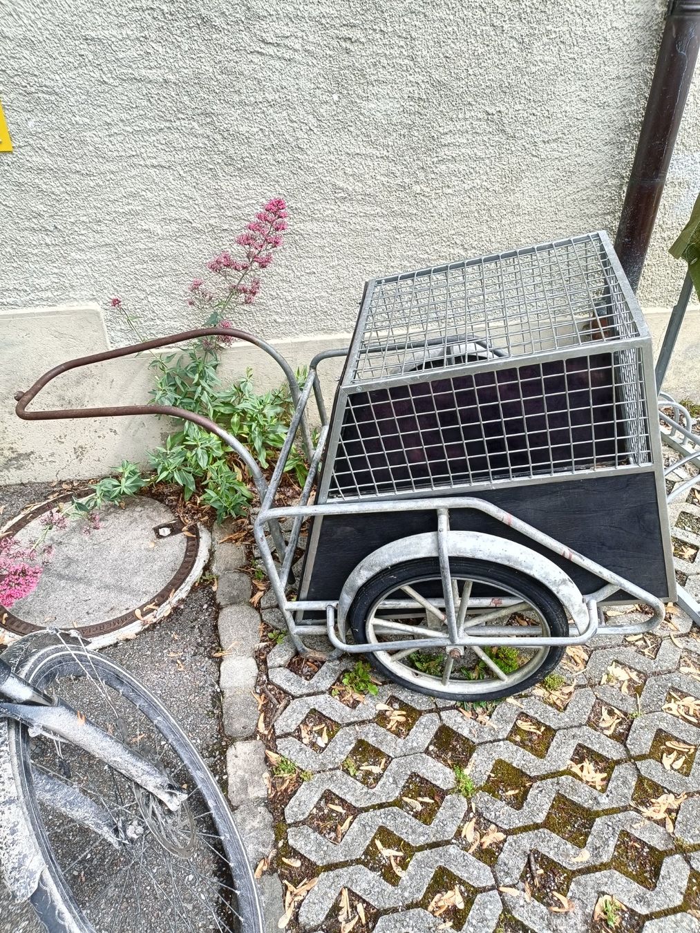 Gabbie, trasporto & Sicurezza: Velo Anhänger mit Hundebox – Usato da Köniz venduto da Brockenreich