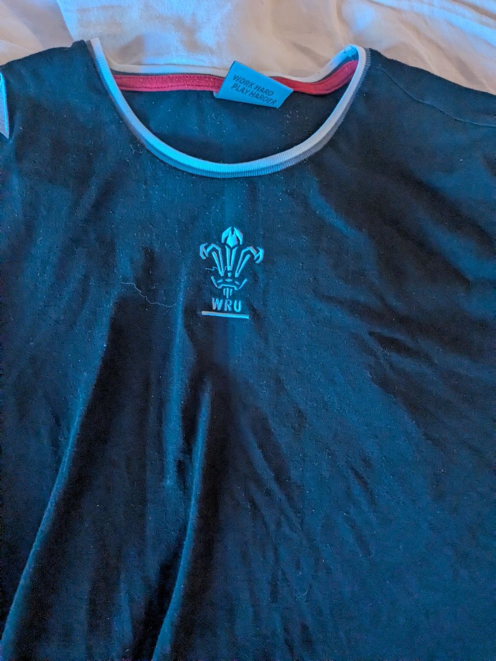T-Shirts: Wales Rugby TShirt  – Gebraucht aus Lenzerheide/Lai von dgi_wj6p 3