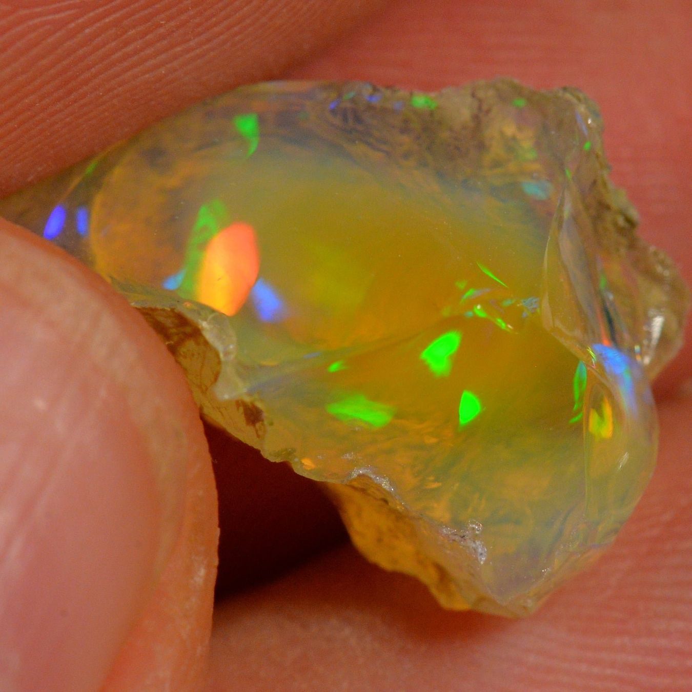 Pietre preziose: 10.8 Karat - Roher Äthiopischer Welo Opal – Nuovo (secondo la descrizione) da Rüti ZH venduto da DeinOpal 4