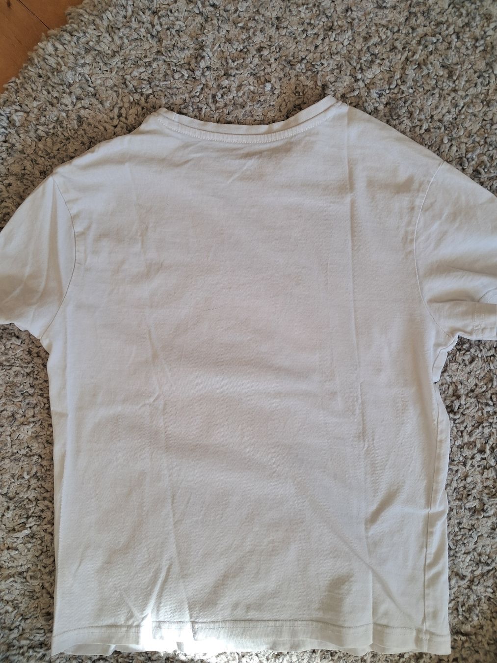 Camicie, T-shirt & Polo: 2x T-Shirt Gr. 146 – Usato da Winterthur venduto da fabelwin 3
