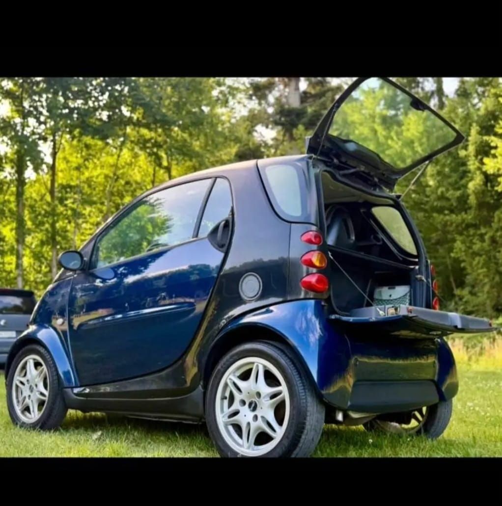 Smart Automobili: Frisch ab Mfk – Usato da Kriens venduto da bel_f7c8 4