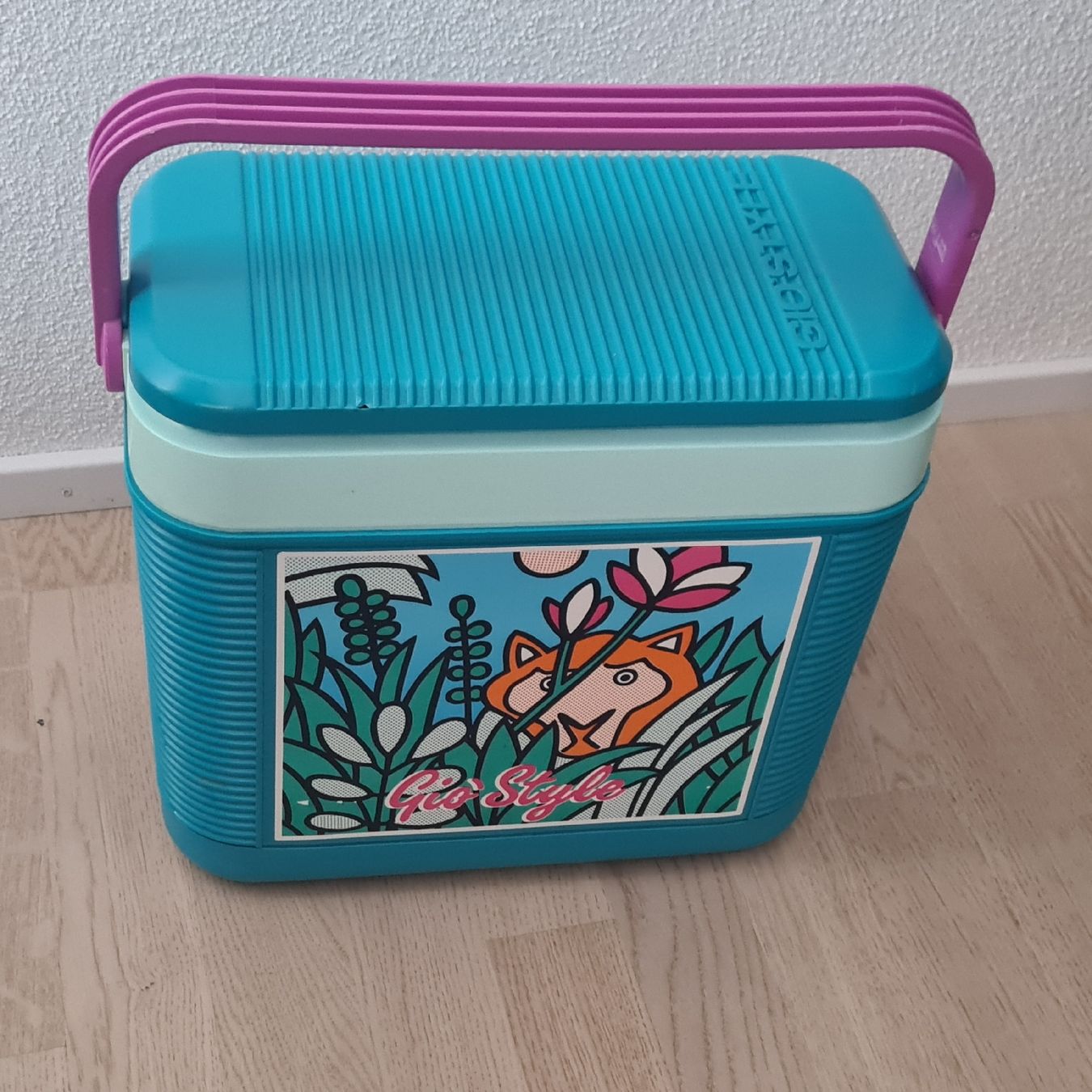 Réfrigérateurs et refroidissement: Kühlbox GIO'STYLE – D'occasion à Steinen par turbogeiss99