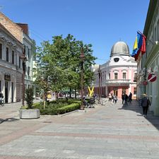 Profile image of B.Drazen