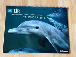 Kalender "Life: Extraordinary animals/extreme behaviour 2012