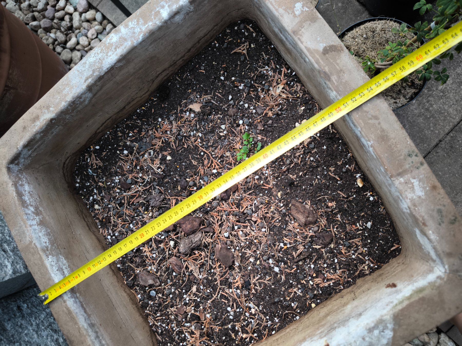 Blumentöpfe: Grosser Blumentopf gewellt und eckig – Gebraucht aus Fahrwangen von lea_bgp9 4