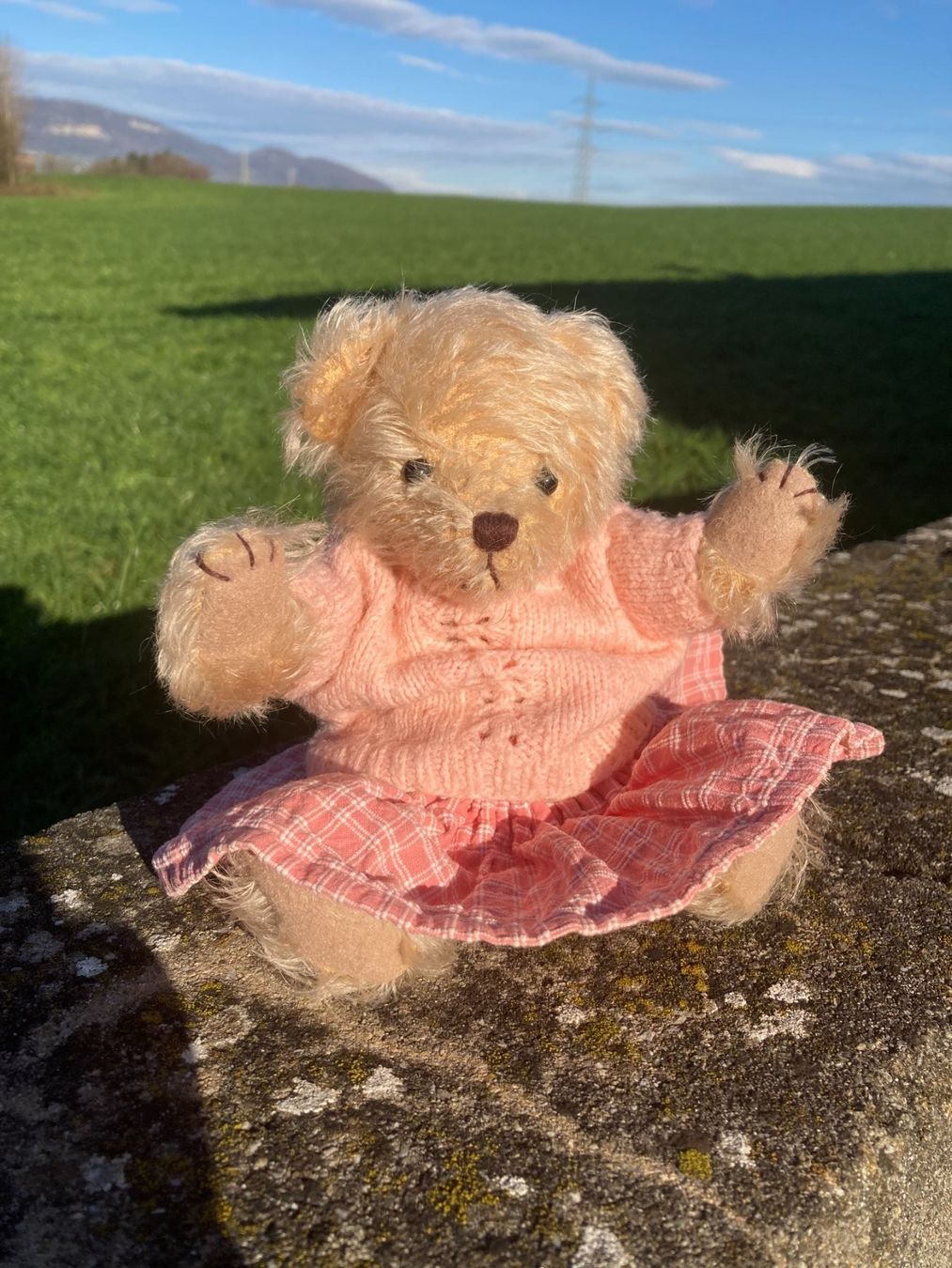 Giocattoli: Teddy Teddybär mit handgestricktem Pullover+Jupe handgenäht – Usato da Subingen venduto da Etageren 4