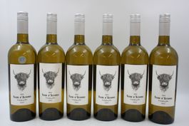 6x Vache d'Automne Viognier 2024 - Weisswein (26070561Z)