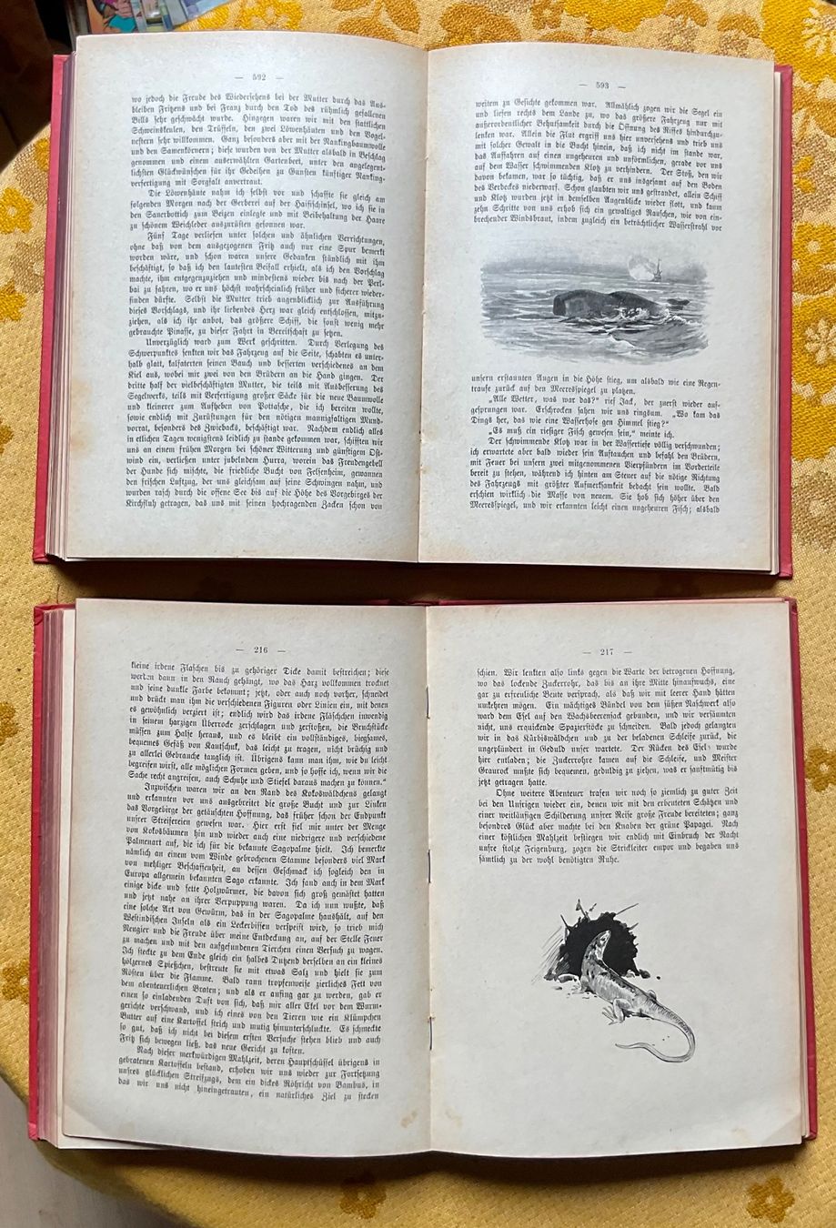 Libri: 2 Bücher Der Schweizerische Robinson von 1895 – Usato da Endingen venduto da nathan05 7
