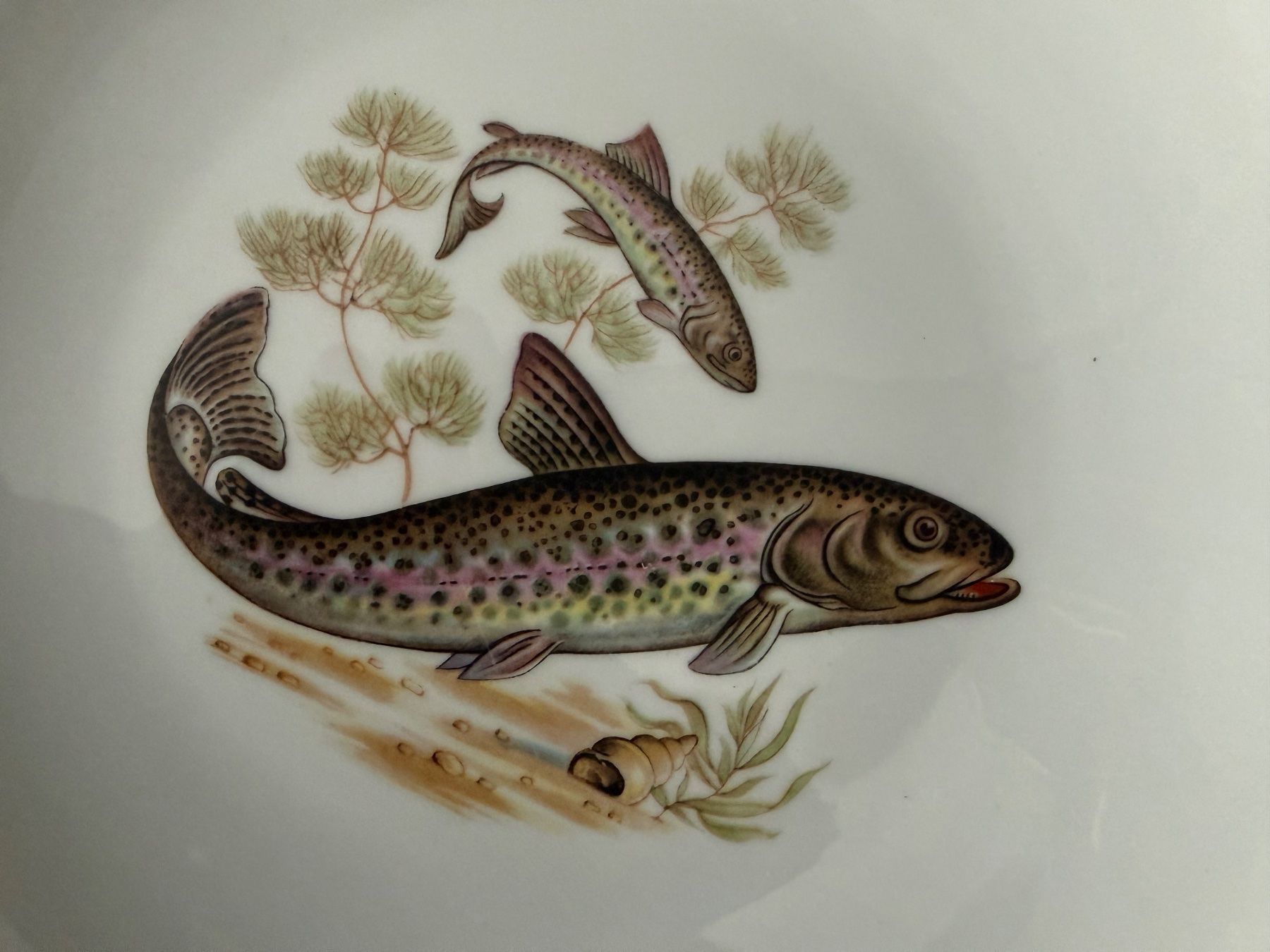 Winterling Geschirrsets: Servizio piatti pesce, 7 pezzi – Gebraucht aus Monte Carasso von Ely67 4