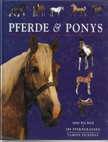 Tamsin Pickeral - Pferde & Ponys