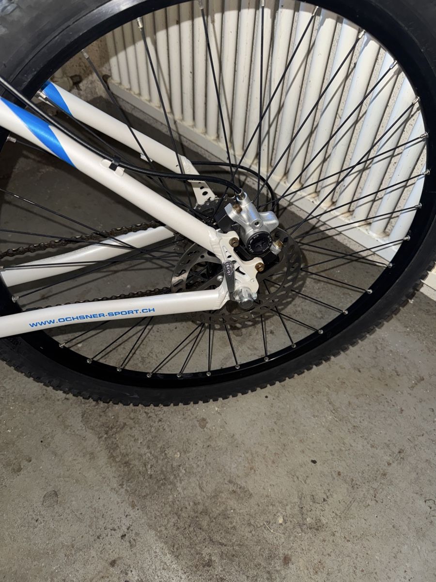 Wheeler Biciclette: Mountainbike Wheeler  – Usato da Zürich venduto da Naniiin 3
