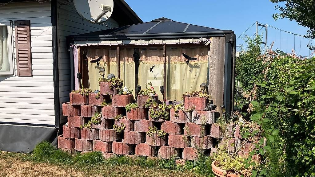 Pots de fleurs: Pflanzringe – D'occasion à Gossau par ade_kh8j