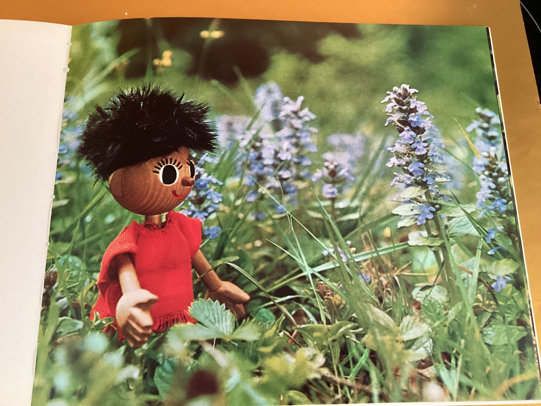 Livres: BASKI / Kinderbuch – D'occasion à Beinwil am See par kae_gh7c 5