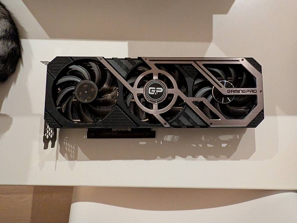 Schede grafiche: Nvidia RTX 3090 GP – Usato da Aarburg venduto da mer_5wfq