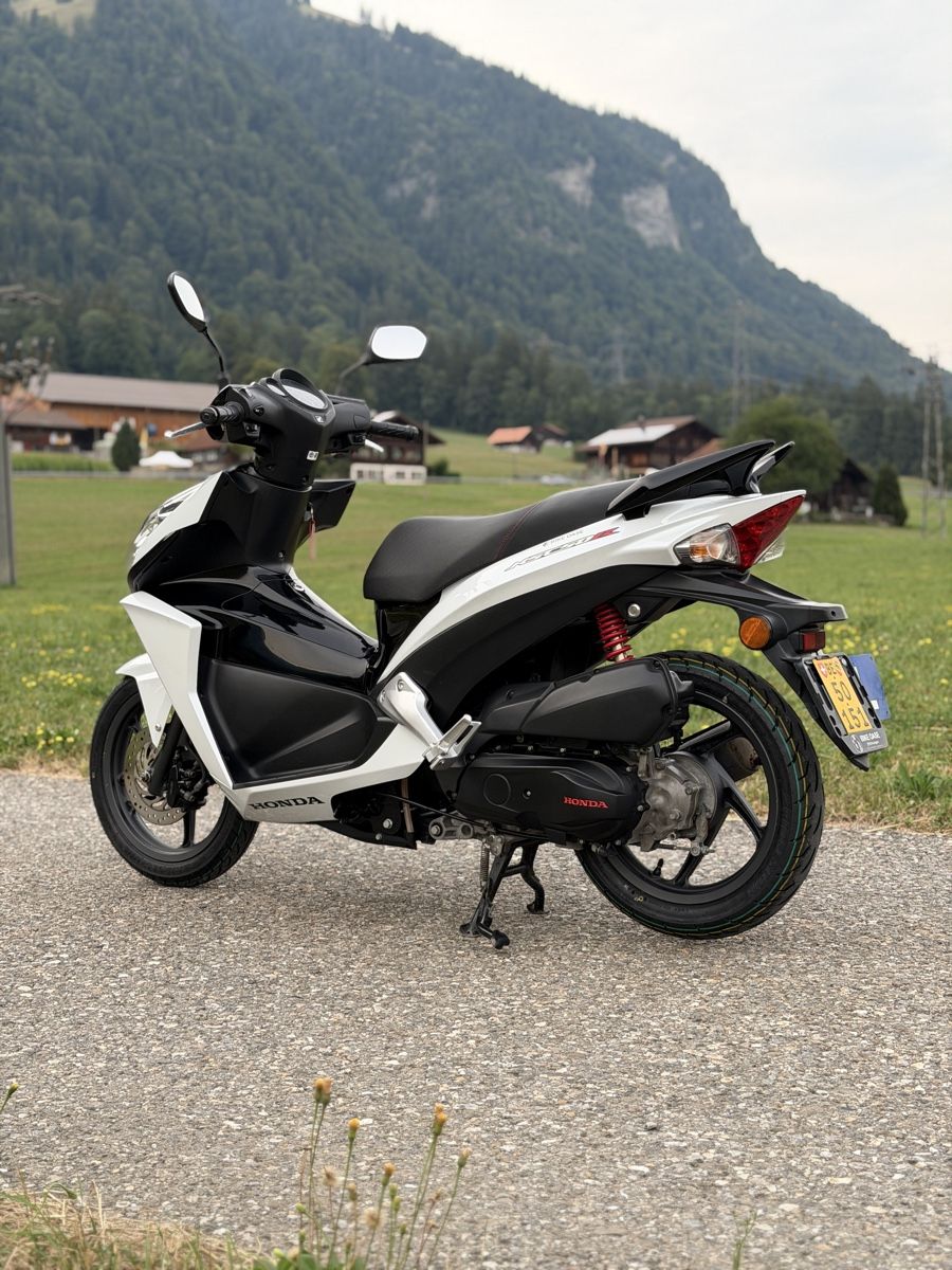 Honda Scooter: Honda NSC50 T2 Roller – Usato da Wengi b. Frutigen venduto da Mxrmet 4