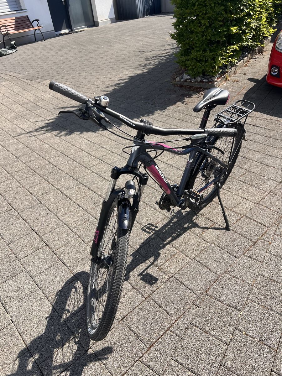 Wheeler Biciclette: Wheeler Passera ATB Damenvelo – Usato da Geroldswil venduto da neva.yael 2